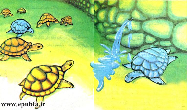 یکی از لاکپشتها باید جلو سوراخ بیاید